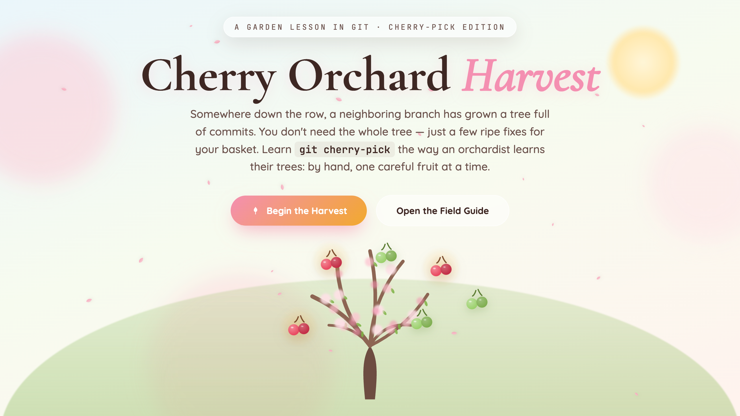 Cherry Orchard Harvest